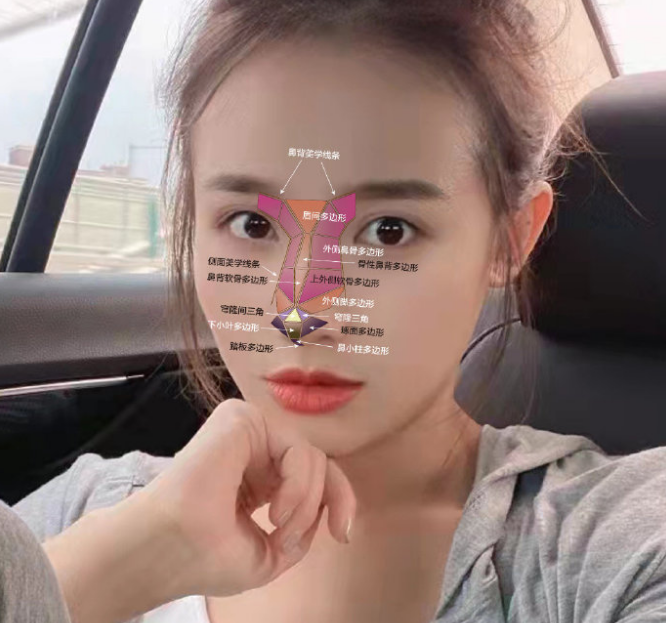 安美星河整形医院讲解之什么是钻石鼻？(图1)